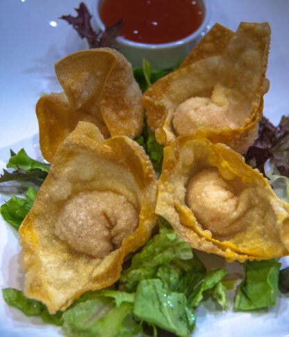 Wonton